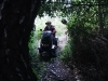 bidstone-discovery-070