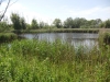 bidstone-discovery-080