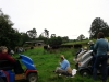 Herding Cattle