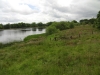 burwarton-estate-007