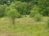 burwarton-estate-008
