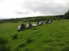 burwarton-estate-016