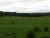 burwarton-estate-018