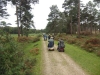 bolderwood-new-forest-030