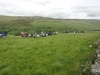 cow-close-littondale-023