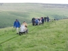 cow-close-littondale-028