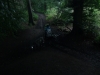 delamere-forest-001