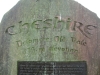 delamere-forest-007