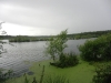 delamere-forest-014