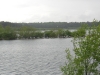 delamere-forest-015