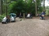 delamere-forest-016