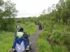 gisburn-forest-035