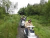 gisburn-forest-036