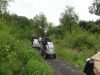 gisburn-forest-037