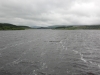 gisburn-forest-044