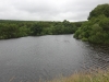 gisburn-forest-045