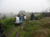 hamsterley-forest-durham-007