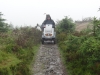 hamsterley-forest-durham-008