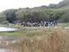 hengistbury-head-015