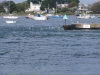 hengistbury-head-035