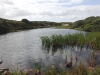 hengistbury-head-040