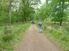 forest-of-dean-dr-052