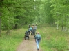 forest-of-dean-dr-054