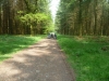 forest-of-dean-dr-055