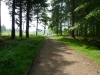 forest-of-dean-dr-057