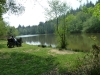 forest-of-dean-dr-060