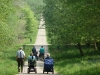 forest-of-dean-dr-063