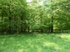 forest-of-dean-dr-065