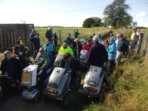 2012 Pepperbox Hill