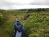 pepperbox-hill-salisbury-065