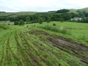 2012 Whitewell