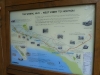 eliz-wirral-country-park-ramble-028