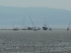 eliz-wirral-country-park-ramble-043