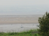 wirral-country-park-ramble-005