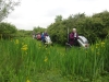 wirral-country-park-ramble-008