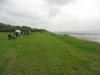 wirral-country-park-ramble-010