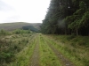 aber-falls-llwytmor-bach-004-800x600