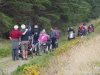 aber-falls-llwytmor-bach-010-800x600