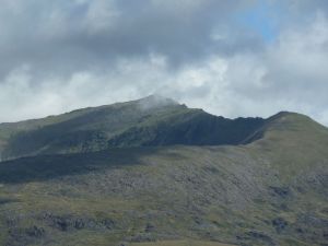 2013 Beddgelert Forest