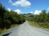 beddgelert-forest-007-800x600