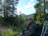 beddgelert-forest-016-800x600