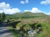 beddgelert-forest-018-800x600