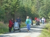 beddgelert-forest-021-800x600
