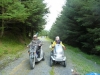 beddgelert-forest-043-800x600