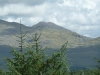 beddgelert-forest-046-800x600
