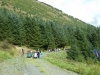 beddgelert-forest-048-800x600